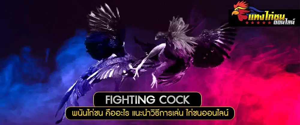 ตีไก่