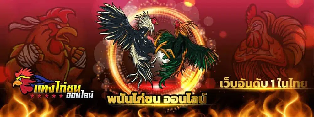 แทงไก่ชนออนไลน์